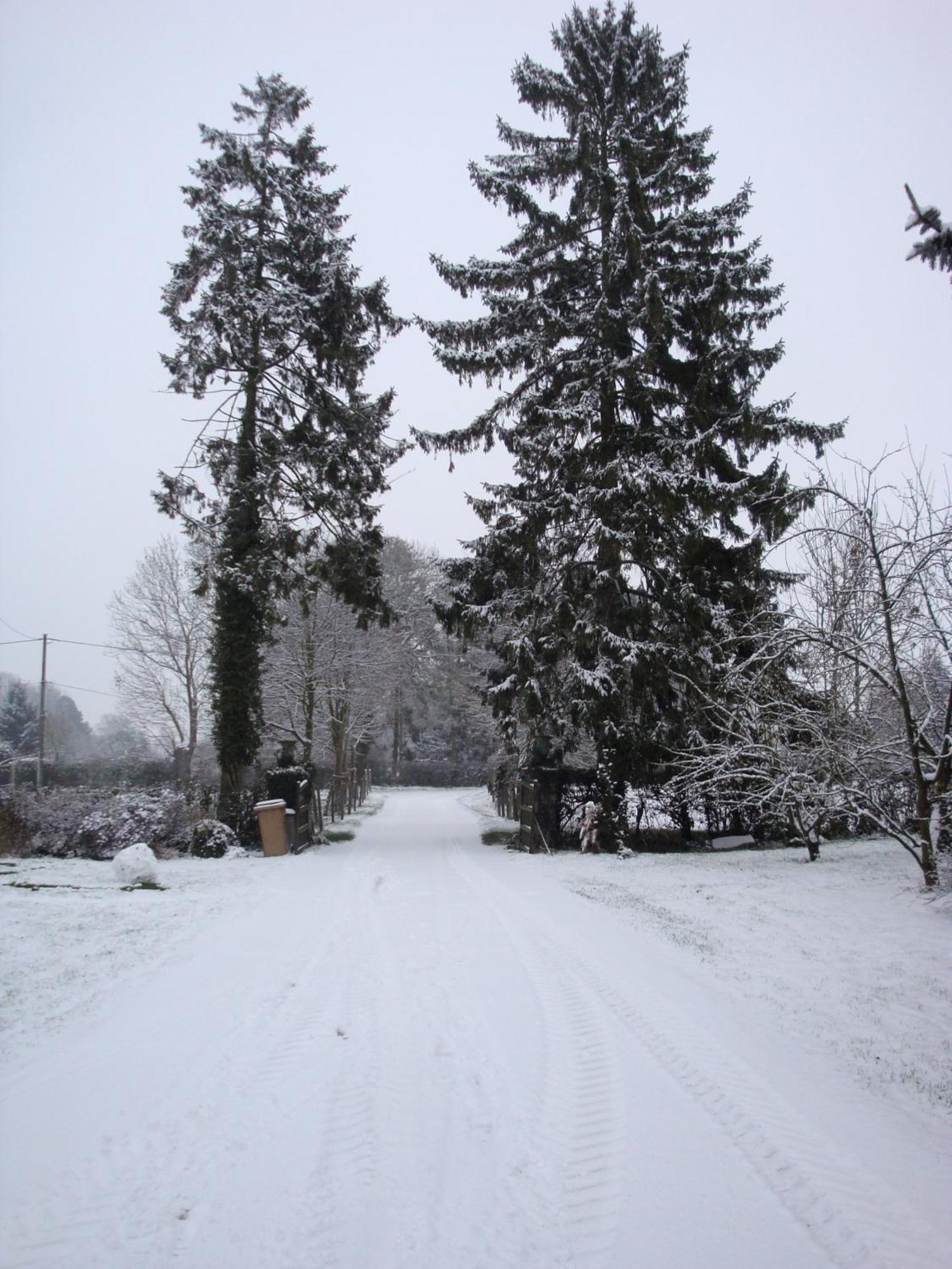 Ferme De La Cacheterie, Bed & Breakfast Fleury-la-Forêt Екстериор снимка